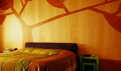 Dipingere casa: la pittura in una camera da letto moderna